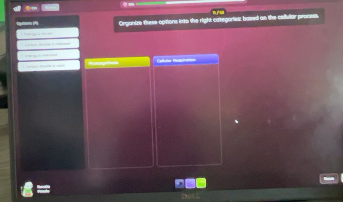 Solved: 0m wo Optionn (4) Organize these options into the right ...
