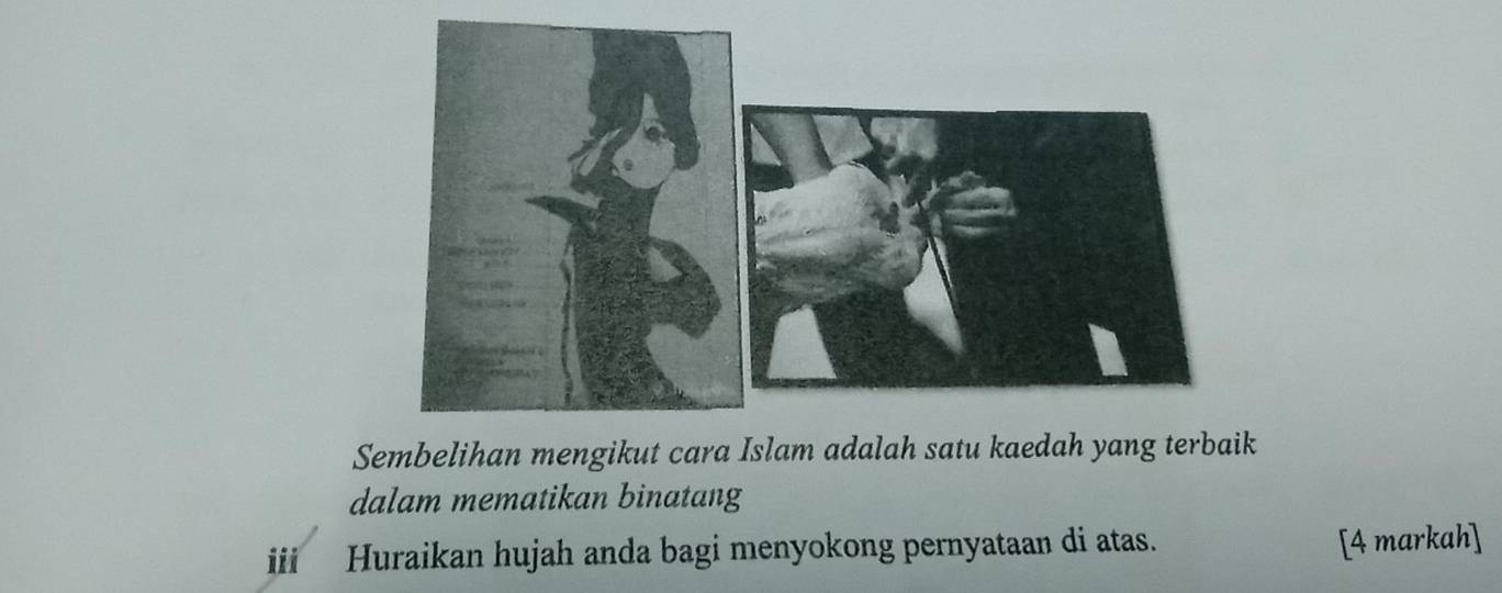 Sembelihan mengikut cara Islam adalah satu kaedah yang terbaik 
dalam mematikan binatang 
i Huraikan hujah anda bagi menyokong pernyataan di atas. 
[4 markah]