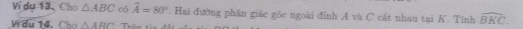 Ví dụ 13, Cho △ ABC c( widehat A=80°. Hai đường phân giác góc ngoài đỉnh A và C cát nhau tại K. Tính widehat BKC. 
Wi du 14. Cho △ ARC Thao