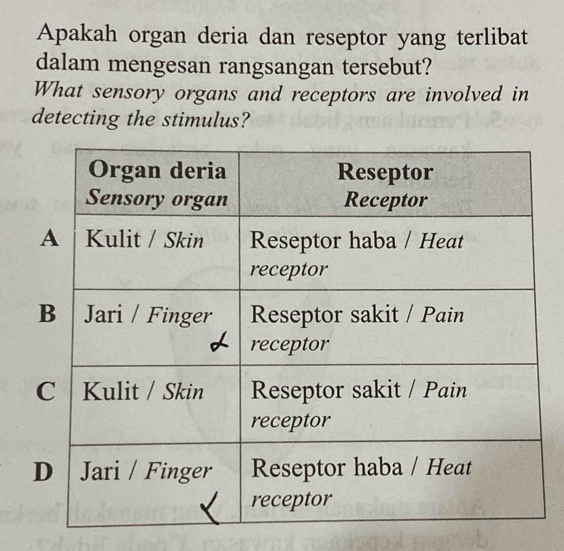 Apakah organ deria dan reseptor yang terlibat 
dalam mengesan rangsangan tersebut? 
What sensory organs and receptors are involved in 
detecting the stimulus?