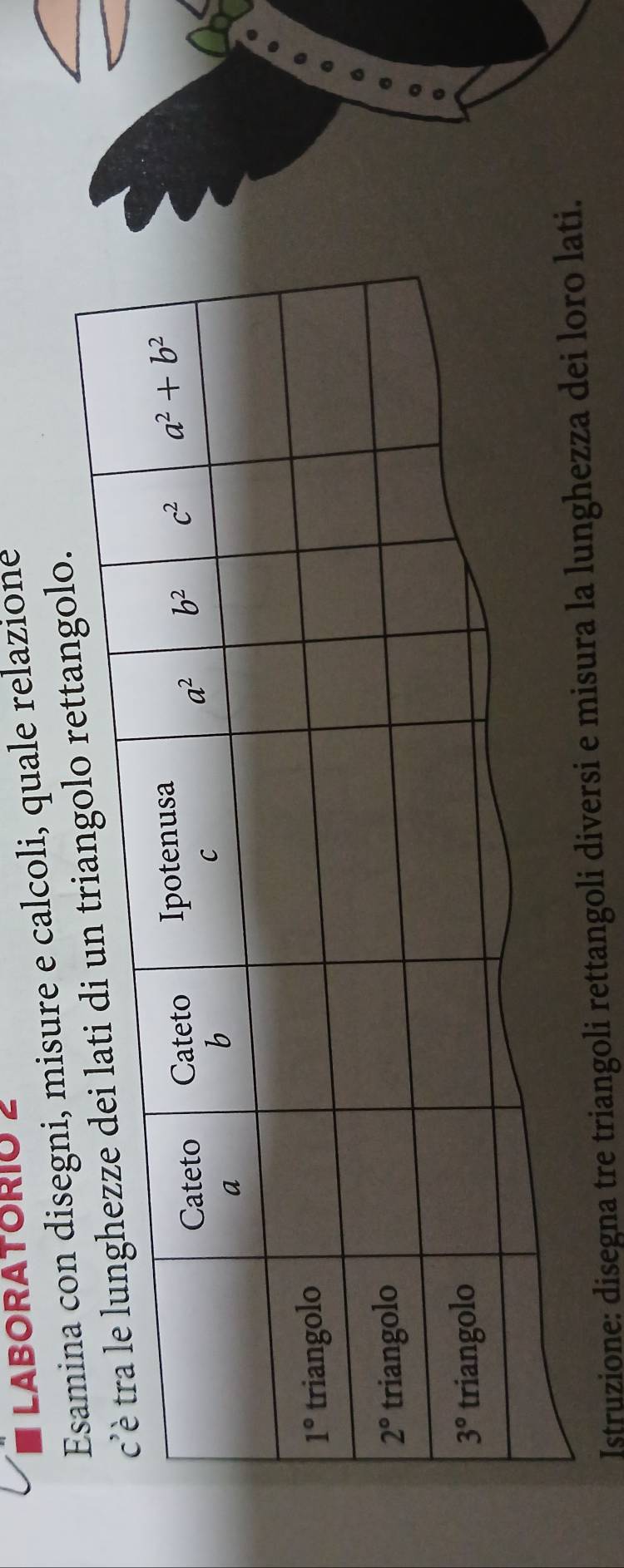 LABORATORIO 2
on disegni, misure e calcoli, quale relazione
golo.
Istruzione: disegna tre triangoli rettangoli diversi e misura la lun