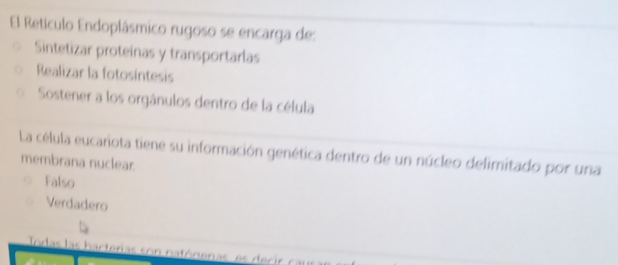 El Retículo Endoplásmico rugoso se encarga de:
Sintetizar proteinas y transportarlas
Realizar la fotosintesis
Sostener a los orgánulos dentro de la célula
La célula eucariota tiene su información genética dentro de un núcleo delimitado por una
membrana nuclear.
Falso
Verdadero
Jodas las bacterias son patógenas, es decir caus ar