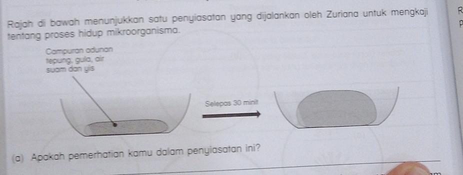 Rajah di bawah menunjukkan satu penyiasatan yang dijalankan oleh Zuriana untuk mengkaji R 
tentang proses hidup mikroorganisma. 
Campuran adunan 
tepung, guía, air 
suam dan yis 
Selepas 30 minit
(a) Apakah pemerhatian kamu dalam penyiasatan ini?