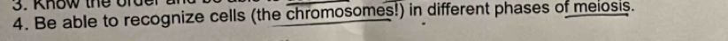 know the ord 
4. Be able to recognize cells (the chromosomes!) in different phases of melosis.