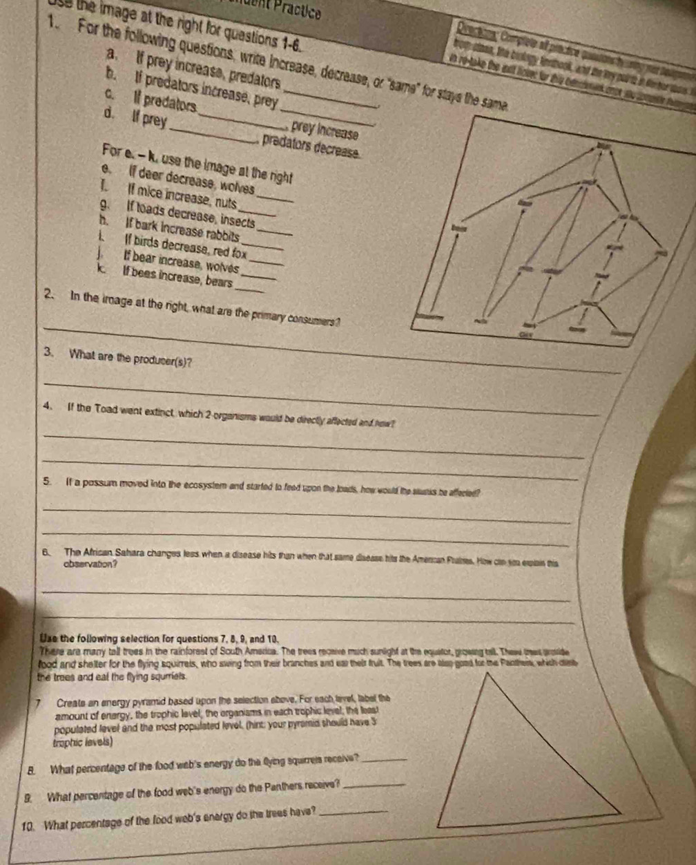 aent Pracuce
se the image at the right for quastions 1-6.
Ovectcos: Complete af practive queions f ring mot leig
fo For the following questions, write increase, decrease, or "same" for stays the same
a. If prey increase, predators
from cloee, the biolagy finntook, and the ly pui to in die ter wos I
uo re-take the mit lover for thy benchmank onot so comtle fgen
b. If predators increase, prey
c. If predators  prey increase
d. If prey __predators decrease
For e. - k, use the image at the right
e. If deer decrease, wolves
T If mice increase, nuts_
g. If toads decrease, insects
h. If bark increase rabbits_
If birds decrease, red fox_
If bear increase, wolves_
_
k. If bees increase, bears_
_
2. In the image at the right, what are the primary consumers?
3. What are the producer(s)?
_
_
4. If the Toad went extinct, which 2 organisms would be directly affected and how?
_
5. If a possum moved into the ecosystem and started to feed upon the loads, how would the saunks be afferted?
_
_
6. The African Sahara changes less when a disease hits than when that same disease hits the Amercan Frames. How can so expiais this
observation?
_
_
Uze the following selection for questions 7, 8, 9, and 10,
There are many tall trees in the rainforest of South America. The trees recaive much sunlight at the equator, growing tell. These tres groide
food and shelter for the flying squirrels, who swing from their branches and ear their fruit. The trees are aen good for the Panthem, which dist
the trees and eal the flying squrriels.
7 Create an energy pyramid based upon the selection above. For each lavel, label the
amount of energy, the trophic level, the organisms in each trophic level, the least
populated level and the most populated level, (hint; your pyramid should have 3
trophic levels)
B. What percentage of the food wab's energy do the Qying squirreis receive?_
9. What percentage of the food web's energy do the Panthers receive?_
10. What percentage of the food web's energy do the trees have?_