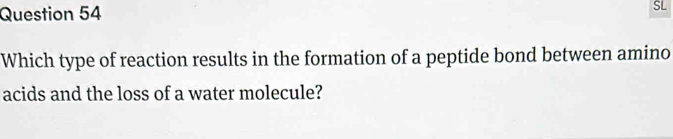 SL 
Which type of reaction results in the formation of a peptide bond between amino 
acids and the loss of a water molecule?