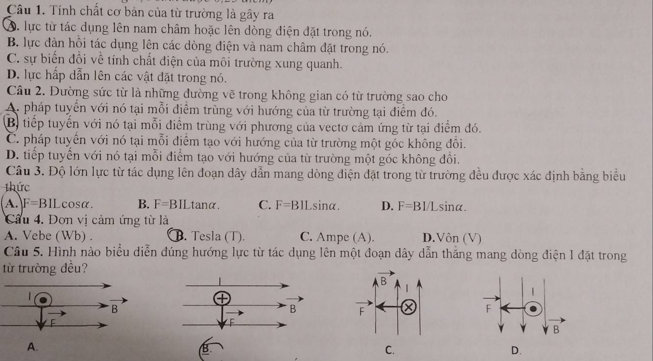 Tính chất cơ bản của từ trường là gây ra
A. lực từ tác dụng lên nam châm hoặc lên dòng điện đặt trong nó.
B. lực đàn hồi tác dụng lên các dòng điện và nam châm đặt trong nó.
C. sự biến đổi về tính chất điện của môi trường xung quanh.
D. lực hấp dẫn lên các vật đặt trong nó.
Câu 2. Đường sức từ là những đường vẽ trong không gian có từ trường sao cho
A. pháp tuyển với nó tại mỗi điểm trùng với hướng của từ trường tại điểm đó.
B) tiếp tuyến với nó tại mỗi điểm trùng với phương của vectơ cảm ứng từ tại điểm đó.
C. pháp tuyển với nó tại mỗi điểm tạo với hướng của từ trường một góc không đôi.
D. tiếp tuyến với nó tại mỗi điểm tạo với hướng của từ trường một góc không đồi.
Câu 3. Độ lớn lực từ tác dụng lên đoạn dây dẫn mang dòng điện đặt trong từ trường đều được xác định bằng biểu
thức
A. F=BIL cosα. B. F=BILtan alpha. C. F=BIL sina. D. F=BI/L sina.
Cầu 4. Đơn vị cảm ứng từ là
A. Vebe (Wb) . B. Tesla (T). C. Ampe (A). D.Vôn (V)
Câu 5. Hình nào biểu diễn đúng hướng lực từ tác dụng lên một đoạn dây dẫn thăng mang dòng điện I đặt trong
từ trường đều?
B.
D.