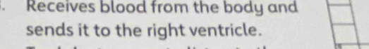 Receives blood from the body and 
sends it to the right ventricle.