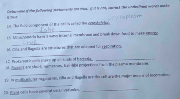 Determine if the following statements are true. If it is not, correct the underlined words make 
It true. 
14. The fluid component of the cell is called the cytoskeleton. 
_ 
15. Mitochondria have a wavy internal membrane and break down food to make energy. 
_ 
16. Cilia and flagella are structures that are adapted for respiration. 
_ 
17. Prokaryotic cells make up all kinds of bacteria,_ 
18. Flagella are short, numerous, hair-like projections from the plasma membrane. 
_ 
19. In multicellular organisms, cilia and flagella are the cell are the major means of locomotion. 
_ 
20. Plant cells have several small vacuoles. 
_