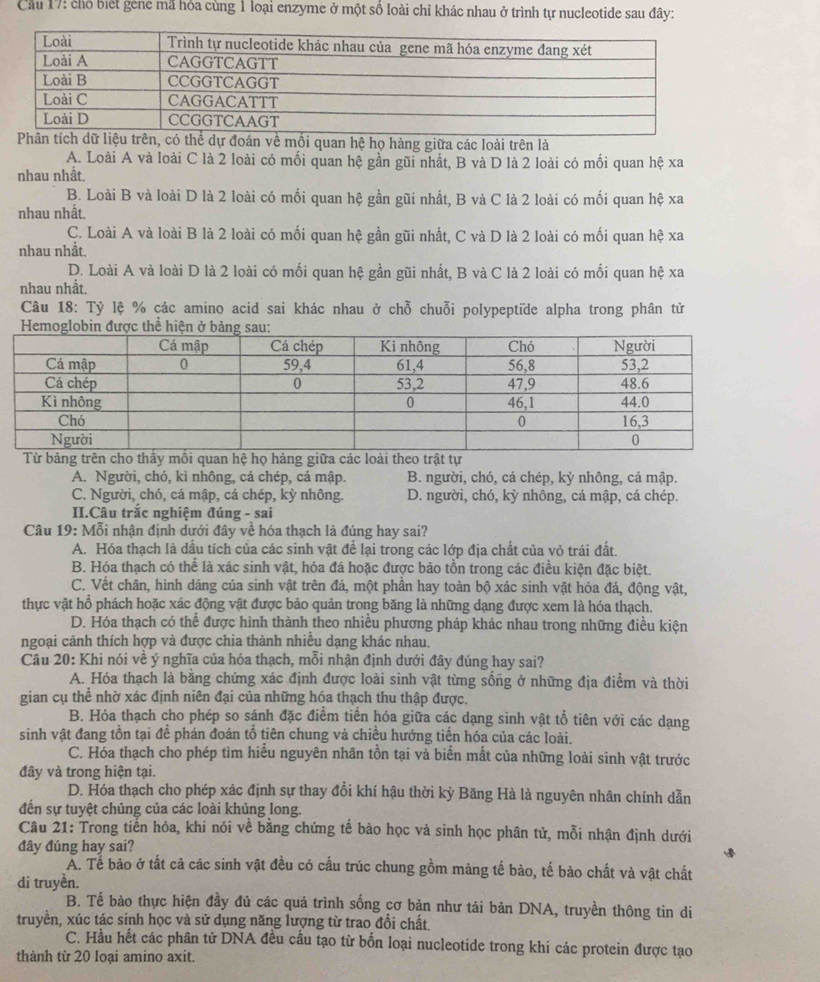 Cu 17: cho biết gene mã hỏa cùng 1 loại enzyme ở một số loài chỉ khác nhau ở trình tự nucleotide sau đây:
liệu trên, có thể dự đoán về mối quan hệ họ hàng giữa các loài trên là
A. Loài A và loài C là 2 loài có mối quan hệ gần gũi nhất, B và D là 2 loài có mối quan hệ xa
nhau nhất.
B. Loài B và loài D là 2 loài có mối quan hệ gần gũi nhất, B và C là 2 loài có mối quan hệ xa
nhau nhất.
C. Loài A và loài B là 2 loài có mối quan hệ gần gũi nhất, C và D là 2 loài có mối quan hệ xa
nhau nhất.
D. Loài A và loài D là 2 loài có mối quan hệ gần gũi nhất, B và C là 2 loài có mối quan hệ xa
nhau nhất.
Câu 18: Tỷ lệ % các amino acid sai khác nhau ở chỗ chuỗi polypeptïde alpha trong phân tử
A. Người, chó, kì nhông, cá chép, cá mập. B. người, chó, cá chép, kỳ nhông, cá mập.
C. Người, chó, cá mập, cá chép, kỳ nhông. D. người, chó, kỳ nhông, cá mập, cá chép.
II.Câu trắc nghiệm đúng - sai
Câu 19: Mỗi nhận định dưới đây về hóa thạch là đúng hay sai?
A. Hóa thạch là dầu tích của các sinh vật để lại trong các lớp địa chất của vỏ trái đất.
B. Hóa thạch có thể là xác sinh vật, hóa đá hoặc được bảo tồn trong các điều kiện đặc biệt.
C. Vết chân, hình dáng của sinh vật trên đá, một phần hay toàn bộ xác sinh vật hóa đá, động vật,
thực vật hồ phách hoặc xác động vật được bảo quản trong băng là những dạng được xem là hóa thạch.
D. Hóa thạch có thể được hình thành theo nhiều phương pháp khác nhau trong những điều kiện
ngoại cảnh thích hợp và được chia thành nhiều dạng khác nhau.
Câu 20: Khi nói về ý nghĩa của hóa thạch, mỗi nhận định dưới đây đúng hay sai?
A. Hóa thạch là bằng chứng xác định được loài sinh vật từng sống ở những địa điểm và thời
gian cụ thể nhờ xác định niên đại của những hóa thạch thu thập được.
B. Hóa thạch cho phép so sánh đặc điểm tiến hóa giữa các dạng sinh vật tổ tiên với các dạng
sinh vật đang tồn tại để phán đoán tổ tiên chung và chiều hướng tiến hóa của các loài.
C. Hóa thạch cho phép tìm hiểu nguyên nhân tồn tại và biến mất của những loài sinh vật trước
đây và trong hiện tại.
D. Hóa thạch cho phép xác định sự thay đổi khí hậu thời kỳ Băng Hà là nguyên nhân chính dẫn
đến sự tuyệt chủng của các loài khủng long.
Câu 21: Trong tiến hóa, khi nói về bằng chứng tế bào học và sinh học phân tử, mỗi nhận định dưới
đây đúng hay sai?
Ấ. Tế bảo ở tất cả các sinh vật đều có cầu trúc chung gồm màng tế bào, tế bào chất và vật chất
di truyền.
B. Tế bào thực hiện đầy đủ các quá trình sống cơ bản như tái bản DNA, truyền thông tin di
truyền, xúc tác sinh học và sử dụng năng lượng từ trao đổi chất.
C. Hầu hết các phân tử DNA đều cầu tạo từ bốn loại nucleotide trong khi các protein được tạo
thành từ 20 loại amino axit.