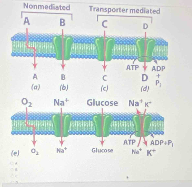 Nonmediated
B
C
D