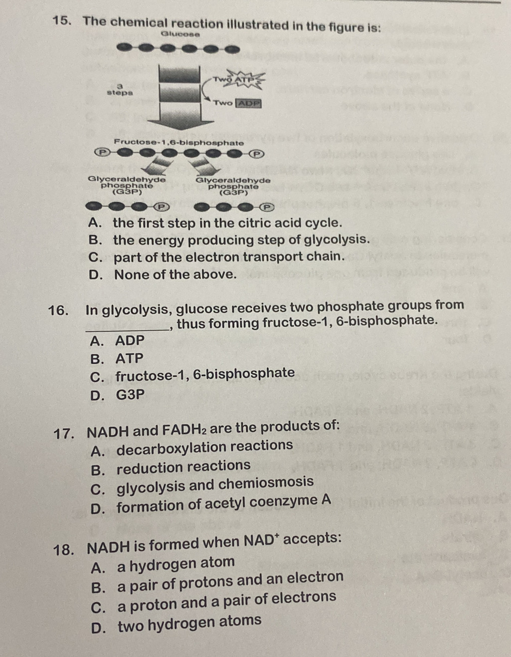 The chemical reaction illustrated in the figure is:
Glucose
A. the first step in the citric acid cycle.
B. the energy producing step of glycolysis.
C. part of the electron transport chain.
D. None of the above.
16. In glycolysis, glucose receives two phosphate groups from
_, thus forming fructose -1, 6-bisphosphate.
A. ADP
B. ATP
C. fructose-1, 6-bisphosphate
D. G3P
17. NADH and FA DH_2 are the products of:
A. decarboxylation reactions
B. reduction reactions
C. glycolysis and chemiosmosis
D. formation of acetyl coenzyme A
18. NADH is formed when N AD' accepts:
A. a hydrogen atom
B. a pair of protons and an electron
C. a proton and a pair of electrons
D. two hydrogen atoms