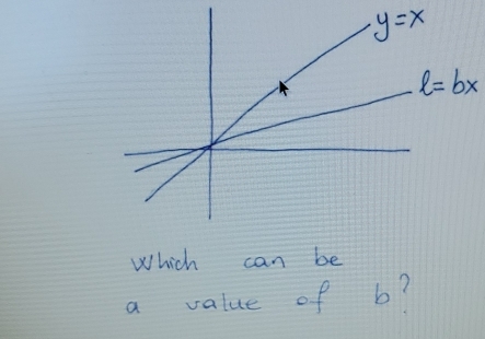 y=x
l=bx
Which can be 
a value of b?