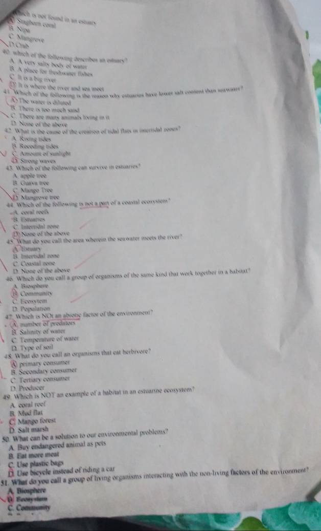 ic is not found in an estun
O Singham coml 5 Nipa
C. Mängrøve
SD Cíh
40, which of the following describes an estuary?
A. A very salty body of watt
B. A place for frushssater fishes
C. It is a big river
D] It is where the river and soa moet
41 'Which of the following is the reason why estuaries have lower salt conent than seawater
A) The water is ditured. There is too much said
C. There are many animals living in it
D. None of the above
42. What is the cause of the creation of tidal flars in interridal zones?
A. Rising tides
5. Recoding tides
J C. Amount of sunlight
4i Strong waves
43. Which of the following can survive in estuaries?
A. apple tree
B. Guava tree
C. Mango Tree
D Mangrove tree
44. Which of the following is not a part of a coastal ecosystem?
-A. coral reoß
*B. Estuaries
C. Intertidal zone
D None of the sbave
45. What do you call the area wherein the seawater meets the river?
A Estuary
B. Intertidal zone
C. Coastal zone
D. None of the above
46. Which do you call a group of organisms of the same kind that work together in a babitat?
A Biosphere
B Communits
C. Ecosytem
D. Population
47, Which is NOt an abrotic factor of the environment?
(A. number of predators
B. Salinity of water
C. Temperature of water
D. Type of soil
48. What do you call an organisms that eat herbivore?
④ primary consumer
B. Secondary consumer
C. Tertiary consumer
D. Producer
49. Which is NOT an example of a habitat in an estuarine ecosystem?
A. coral reef
B, Mud flat
C Mango forest
D. Salt marsh
50. What can be a solution to our environmental problems?
A. Buy endangered animal as pets
B. Eat more meat
C. Ulse plastic bags
D. Use bicycle instead of riding a car
31. What do you call a group of living organisms interacting with the non-living factors of the environment?
A Biosphere
( Eccsysiam
C. Community