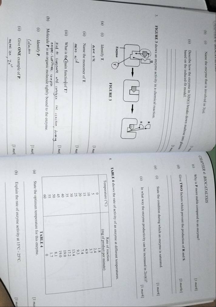 Name the enzyme that is involved in 3(a).
CHAPTER 4: BIOCATALYSIS
_(c) Why is P more stable compared to an enzyme? [1 mark]
[l m
(ii) Describe how the enzyme in 3(b)(i) breaks down maltose into glucs (d) Give TWO factors which prevent the production of R and S
based on the induced-fit model.
_
[2 marks]
_
_
_[3 mo
_
_
_
3. FIGURE 3 shows an enzyme activity in a ch
(e) (i) State the condition during which an enzyme is saturated. [1 mark]
_
(ii) In what way the enzyme productivity can be increased in 2(e)(i)?
[1 mark]
4  rate of activity of an enzyme at different temperatures.
(a) (i) Identify T. 
_[ 1 mari
(ii) Name the monomer of T.
_
[l mari
(iii) What is the main functior of T?
_
[1 mari
plc
(b) Molecule P is an organic molecule tightly bound to the enzyme. 
(i) Identify P. 
_
_
[ 1 mark (a) State the optimum temperature for this enzyme.
[1 ma
(ii) Give ONE example of P. 15°C-25°C.
[ 1 mari| (b) Explain the rate of enzyme activity at [l ma
_
_