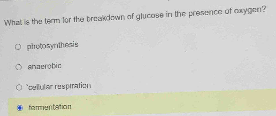 What is the term for the breakdown of glucose in the presence of oxygen?
photosynthesis
anaerobic
`cellular respiration
fermentation