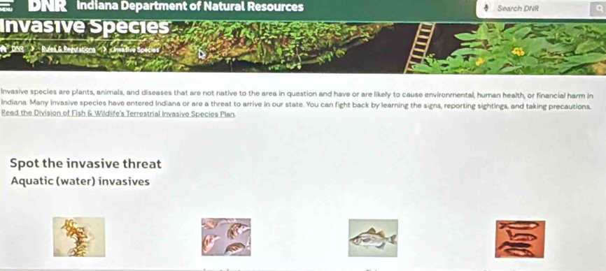 Indiana Department of Natural Resources Search DNR Q 
Rules & Regu 
Invasive species are plants, animals, and diseases that are not native to the area in question and have or are likely to cause environmental, human health, or financial harm in 
Indiana. Many Invasive species have entered Indiana or are a threat to arrive in our state. You can fight back by learning the signs, reporting sightings, and taking precautions. 
Read the Division of Fish & Wildlife's Terrestrial Invasive Species Plan. 
Spot the invasive threat 
Aquatic (water) invasives