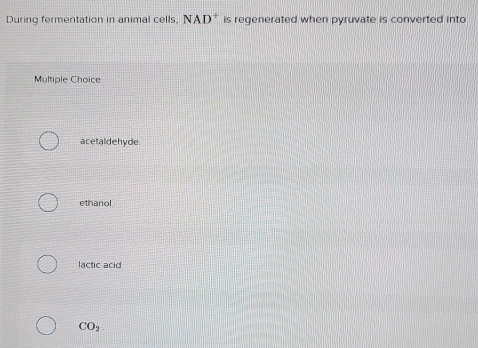 During fermentation in animal cells, NAD^+ is regenerated when pyruvate is converted into
Multiple Choice
acetaldehyde.
ethanol
lactic acid
CO_2