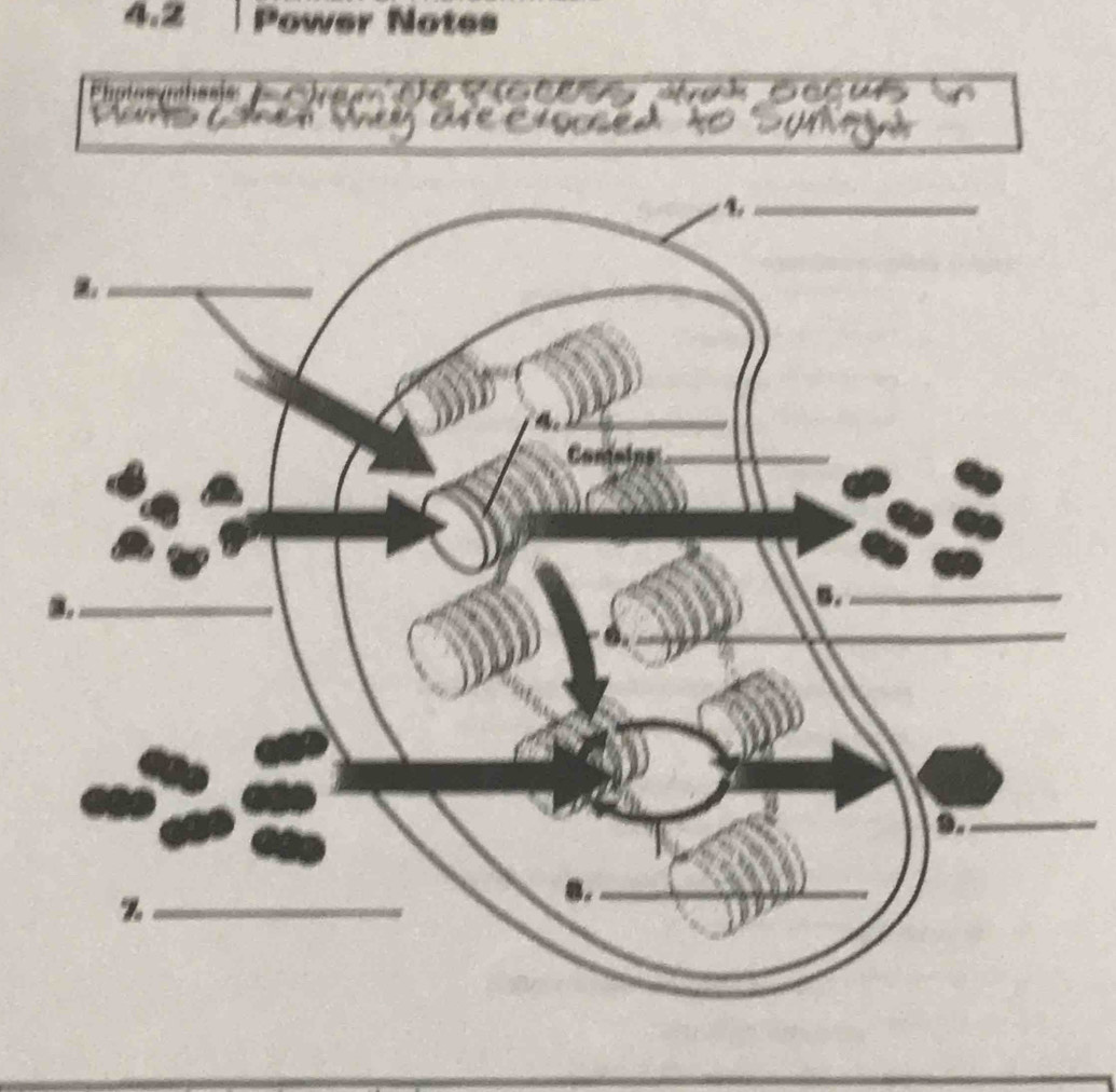 4. 2 Power Notes