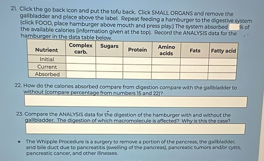 Click the go back icon and put the tofu back. Click SMALL ORGANS and remove the 
gallbladder and place above the label. Repeat feeding a hamburger to the digestive system 
(click FOOD, place hamburger above mouth and press play.) The system absorbed % of 
the available calories (information given at the top). Record the ANALYSIS data for the 
hamburger in the data table 
22. How do the calories absorbed compare from digestion compare with the gallbladder to 
without (compare percentage from numbers 15 and 22)? 
23. Compare the ANALYSIS data for the digestion of the hamburger with and without the 
gallbladder. The digestion of which macromolecule is affected? Why is this the case? 
The Whipple Procedure is a surgery to remove a portion of the pancreas, the gallbladder, 
and bile duct due to pancreatitis (swelling of the pancreas), pancreatic tumors and/or cysts, 
pancreatic cancer, and other illnesses.