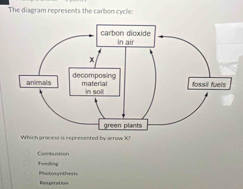 The diagram represents the carbon cycle:
Which process is represented by arrow X?
Combustion
Feeding
Photosynthesis
Respiration