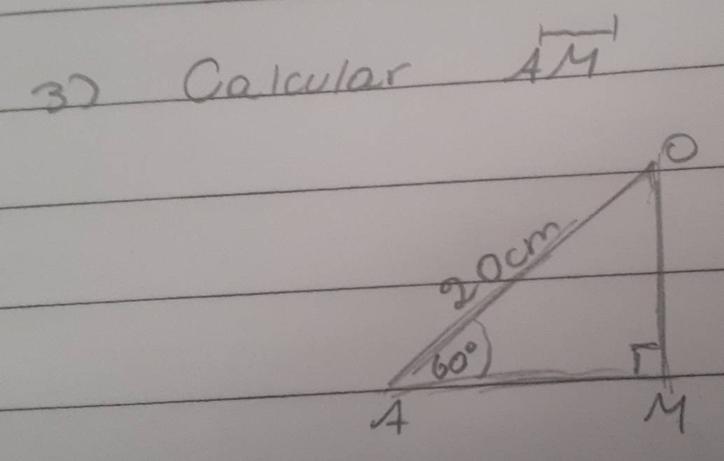 Calcular
vector AM