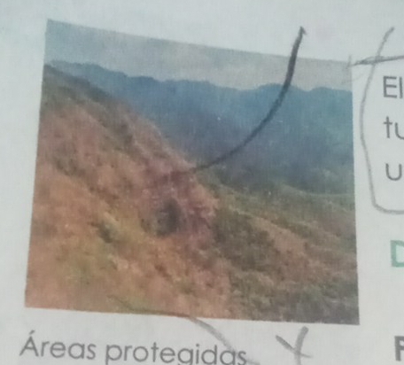 El 
tu 
Áreas protegidas