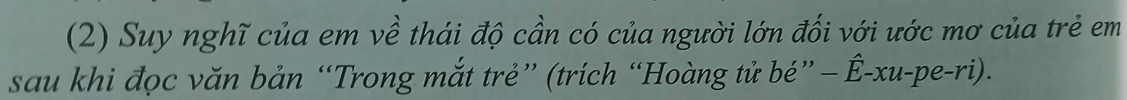 (2) Suy nghĩ của em về thái độ cần có của người lớn đối với ước mơ của trẻ em 
sau khi đọc văn bản “Trong mắt trẻ” (trích “Hoàng tử bé” - Ê-xu-pe-ri).