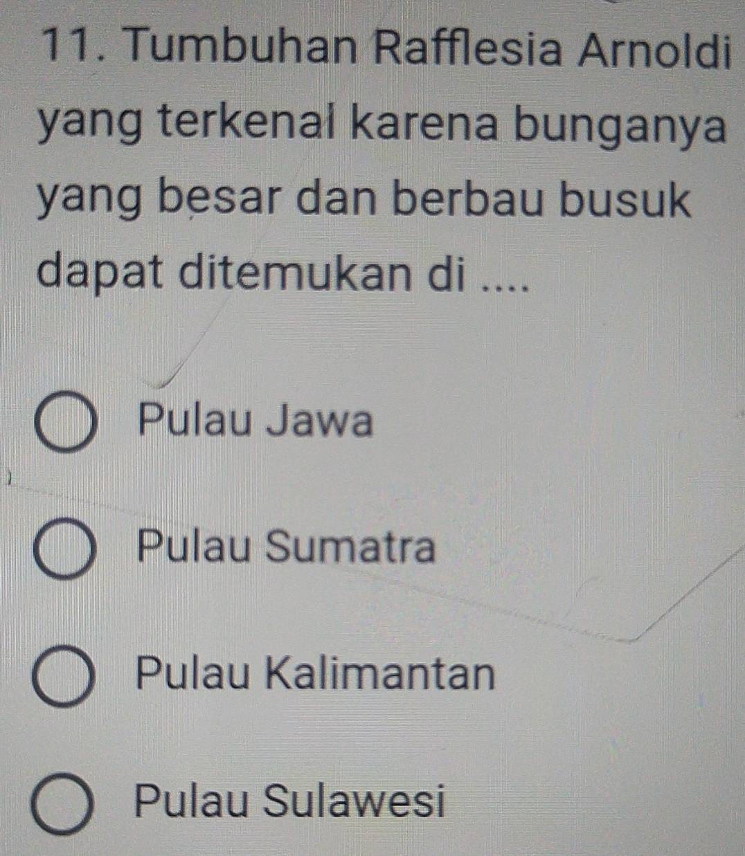 Tumbuhan Rafflesia Arnoldi
yang terkenal karena bunganya
yang besar dan berbau busuk
dapat ditemukan di ....
Pulau Jawa
Pulau Sumatra
Pulau Kalimantan
Pulau Sulawesi