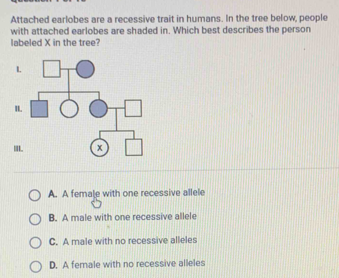 Attached earlobes are a recessive trait in humans. In the tree below, people
with attached earlobes are shaded in. Which best describes the person
labeled X in the tree?
A. A female with one recessive allele
B. A male with one recessive allele
C. A male with no recessive alleles
D. A female with no recessive alleles