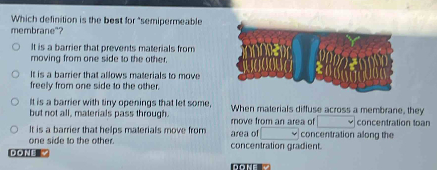 Which definition is the best for “semipermeable
membrane"?
It is a barrier that prevents materials from
moving from one side to the other.
It is a barrier that allows materials to move
freely from one side to the other.
It is a barrier with tiny openings that let some, When materials diffuse across a membrane, they
but not all, materials pass through.
move from an area of □ concentration toan
It is a barrier that helps materials move from area of □ concentration along the
one side to the other. concentration gradient.
DONE