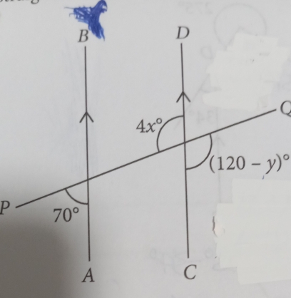 (120-y)^circ 
P