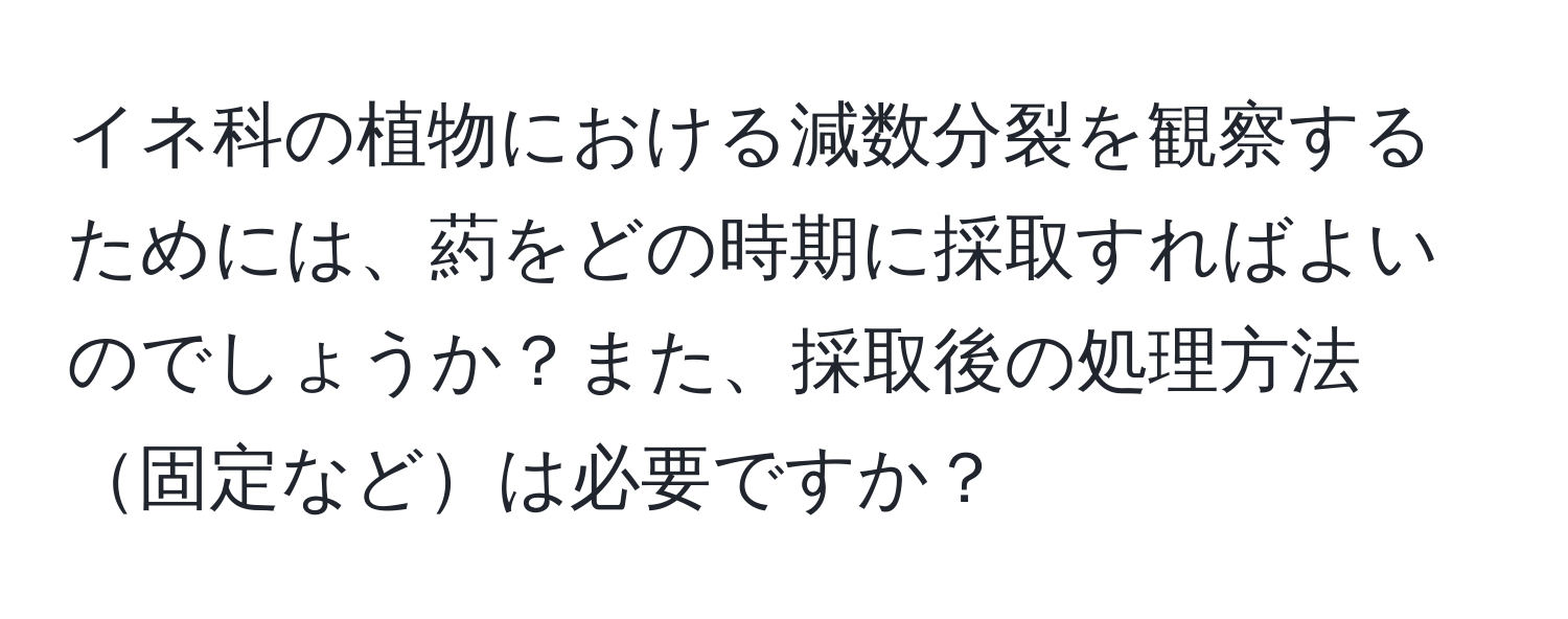 イネ科の植物における減数分裂を観察するためには、葯をどの時期に採取すればよいのでしょうか？また、採取後の処理方法固定などは必要ですか？