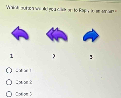 Which button would you click on to Reply to an email? *
1
2
3
Option 1
Option 2
Option 3