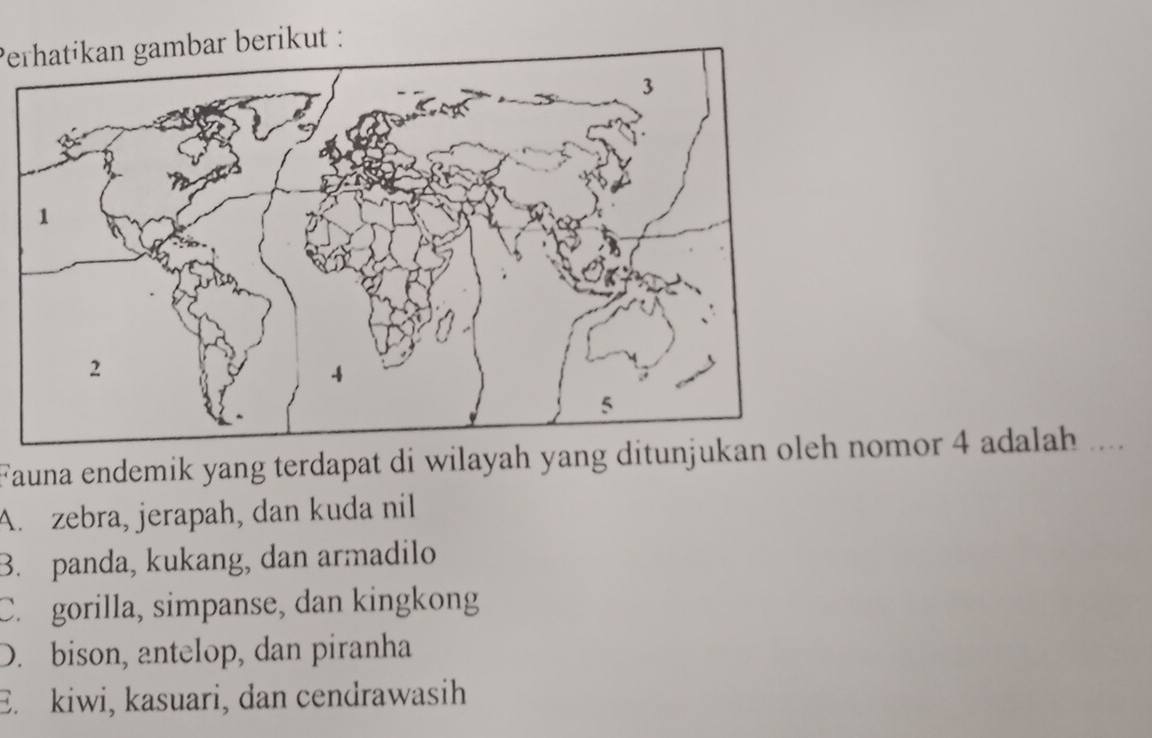 Perhatíkan gambar berikut :
Fauna endemik yang terdapat di wilayah yang ditunjukan oleh nomor 4 adalah ....
A. zebra, jerapah, dan kuda nil
B. panda, kukang, dan armadilo
C. gorilla, simpanse, dan kingkong
D. bison, antelop, dan piranha
E. kiwi, kasuari, dan cendrawasih