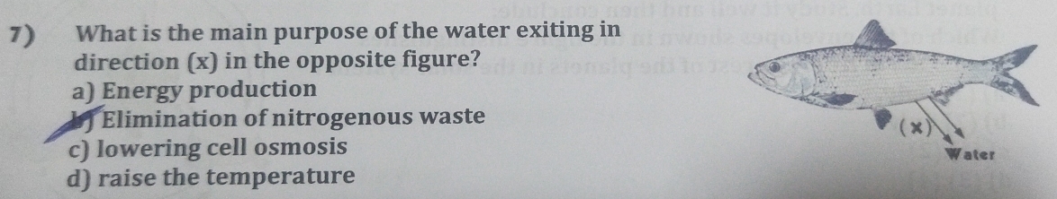 What is the main purpose of the water exiting in
direction (x) in the opposite figure?
a) Energy production
Elimination of nitrogenous waste
c) lowering cell osmosis
d) raise the temperature