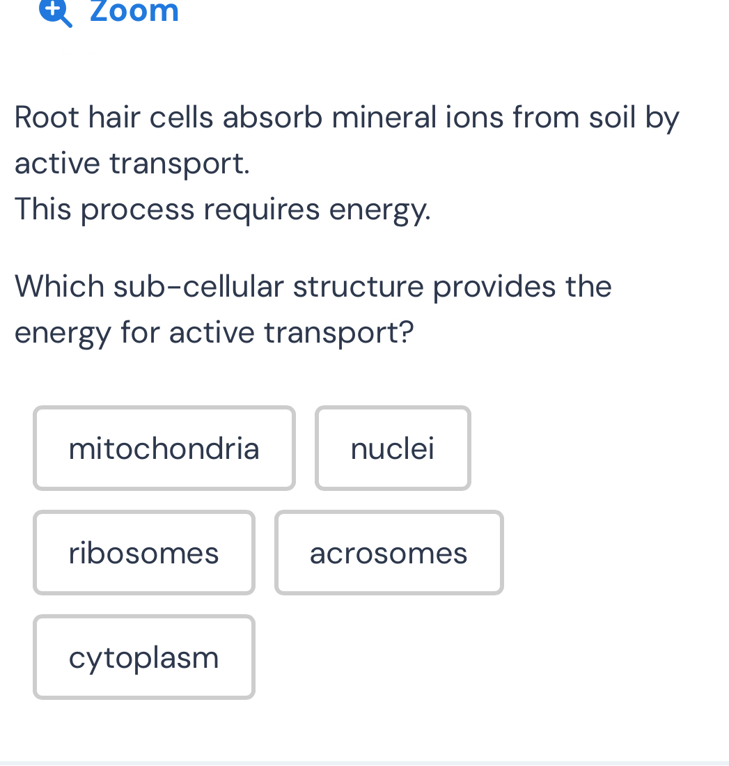 + Zoom
Root hair cells absorb mineral ions from soil by
active transport.
This process requires energy.
Which sub-cellular structure provides the
energy for active transport?
mitochondria nuclei
ribosomes acrosomes
cytoplasm