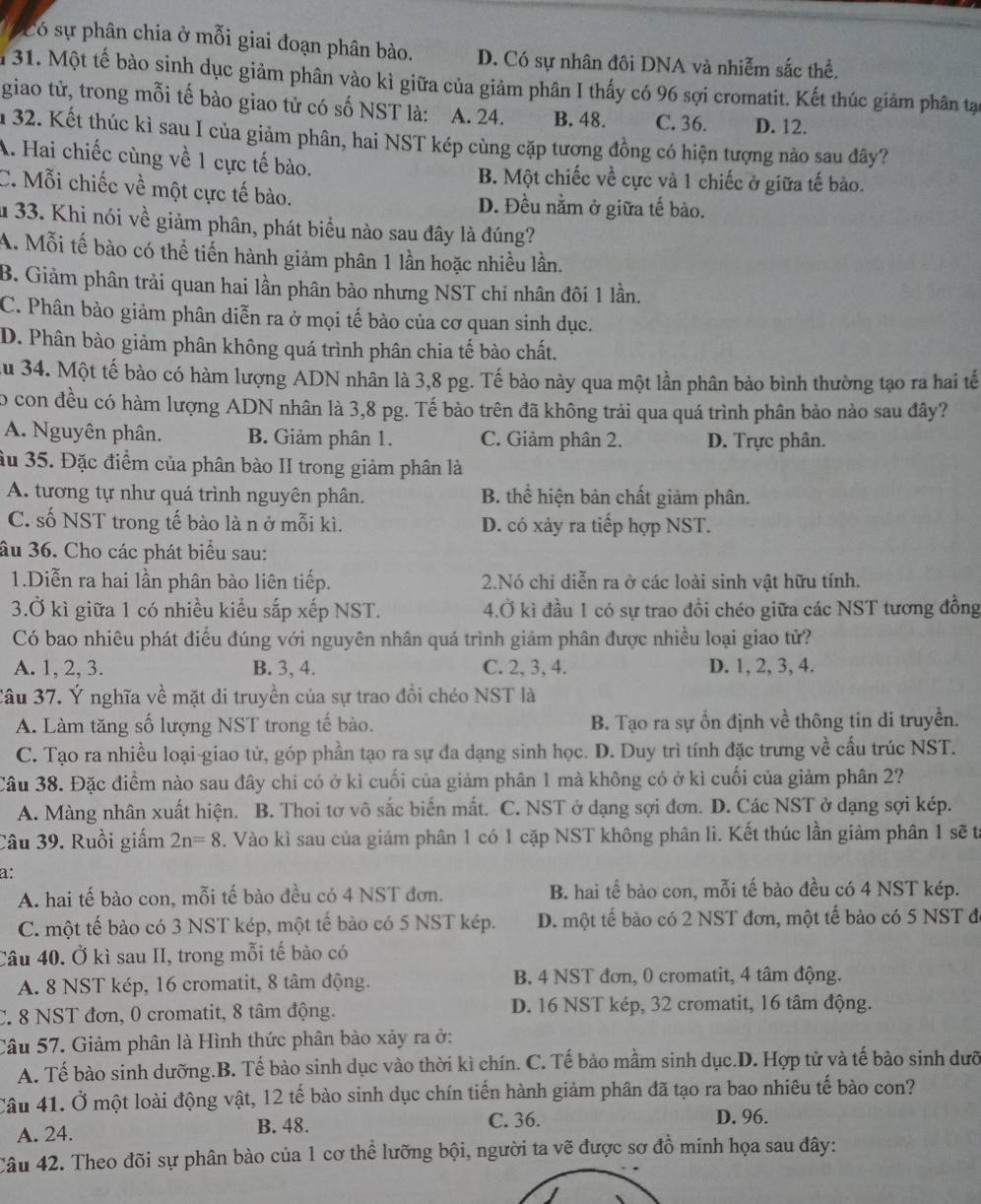 Có sự phân chia ở mỗi giai đoạn phân bào. D. Có sự nhân đôi DNA và nhiễm sắc thể.
31. Một tế bào sinh dục giảm phân vào kì giữa của giảm phân I thấy có 96 sợi cromatit. Kết thúc giảm phân tạo
giao tử, trong mỗi tế bào giao tử có số NST là: A. 24. B. 48. C. 36. D. 12.
im 32. Kết thúc kì sau I của giảm phân, hai NST kép cùng cặp tương đồng có hiện tượng nào sau đây?
A. Hai chiếc cùng về 1 cực tế bào. B. Một chiếc về cực và 1 chiếc ở giữa tế bào.
C. Mỗi chiếc về một cực tế bào. D. Đều nằm ở giữa tế bào.
u 33. Khi nói về giảm phân, phát biểu nào sau đây là đúng?
A. Mỗi tế bào có thể tiến hành giảm phân 1 lần hoặc nhiều lần.
B. Giảm phân trải quan hai lần phân bào nhưng NST chỉ nhân đôi 1 lần.
C. Phân bào giảm phân diễn ra ở mọi tế bào của cơ quan sinh dục.
D. Phân bào giảm phân không quá trình phân chia tế bào chất.
Au 34. Một tế bào có hàm lượng ADN nhân là 3,8 pg. Tế bào này qua một lần phân bảo bình thường tạo ra hai tế
o con đều có hàm lượng ADN nhân là 3,8 pg. Tế bào trên đã không trải qua quá trình phân bảo nào sau đây?
A. Nguyên phân. B. Giảm phân 1. C. Giảm phân 2. D. Trực phân.
âu 35. Đặc điểm của phân bào II trong giảm phân là
A. tương tự như quá trình nguyên phân. B. thể hiện bản chất giảm phân.
C. số NST trong tế bào là n ở mỗi kì. D. có xảy ra tiếp hợp NST.
âu 36. Cho các phát biểu sau:
1.Diễn ra hai lần phân bào liên tiếp. 2.Nó chỉ diễn ra ở các loài sinh vật hữu tính.
3.Ở kì giữa 1 có nhiều kiểu sắp xếp NST. 4.Ở kì đầu 1 có sự trao đồi chéo giữa các NST tương đồng
Có bao nhiêu phát điều đúng với nguyên nhân quá trình giảm phân được nhiều loại giao tử?
A. 1, 2, 3. B. 3, 4. C. 2, 3, 4. D. 1, 2, 3, 4.
Câu 37. Ý nghĩa về mặt di truyền của sự trao đổi chéo NST là
A. Làm tăng số lượng NST trong tế bào. B. Tạo ra sự ổn định về thông tin di truyền.
C. Tạo ra nhiều loại-giao tử, góp phần tạo ra sự đa dạng sinh học. D. Duy trì tính đặc trưng về cấu trúc NST.
Câu 38. Đặc điểm nào sau đây chi có ở kì cuối của giảm phân 1 mà không có ở kì cuối của giảm phân 2?
A. Màng nhân xuất hiện. B. Thoi tơ vô sắc biển mất. C. NST ở dạng sợi đơn. D. Các NST ở dạng sợi kép.
Câu 39. Ruồi giấm 2n=8. Vào kì sau của giảm phân 1 có 1 cặp NST không phân li. Kết thúc lần giảm phân 1 sẽ từ
a:
A. hai tế bào con, mỗi tế bào đều có 4 NST đơn. B. hai tế bảo con, mỗi tế bào đều có 4 NST kép.
C. một tế bào có 3 NST kép, một tế bào có 5 NST kép. D. một tế bào có 2 NST đơn, một tế bào có 5 NST đi
Câu 40. Ở kì sau II, trong mỗi tế bào có
A. 8 NST kép, 16 cromatit, 8 tâm động. B. 4 NST đơn, 0 cromatit, 4 tâm động.
C. 8 NST đơn, 0 cromatit, 8 tâm động. D. 16 NST kép, 32 cromatit, 16 tâm động.
Câu 57. Giảm phân là Hình thức phân bảo xảy ra ở:
A. Tế bào sinh dưỡng.B. Tế bào sinh dục vào thời kì chín. C. Tế bảo mầm sinh dục.D. Hợp tử và tế bào sinh dưỡ
Câu 41. Ở một loài động vật, 12 tế bào sinh dục chín tiến hành giảm phân đã tạo ra bao nhiêu tế bào con?
A. 24. B. 48.
C. 36. D. 96.
Câu 42. Theo đõi sự phân bào của 1 cơ thể lưỡng bội, người ta vẽ được sơ đồ minh họa sau đây: