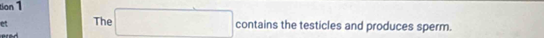 tion 1 
et 
The^(□) contains the testicles and produces sperm.