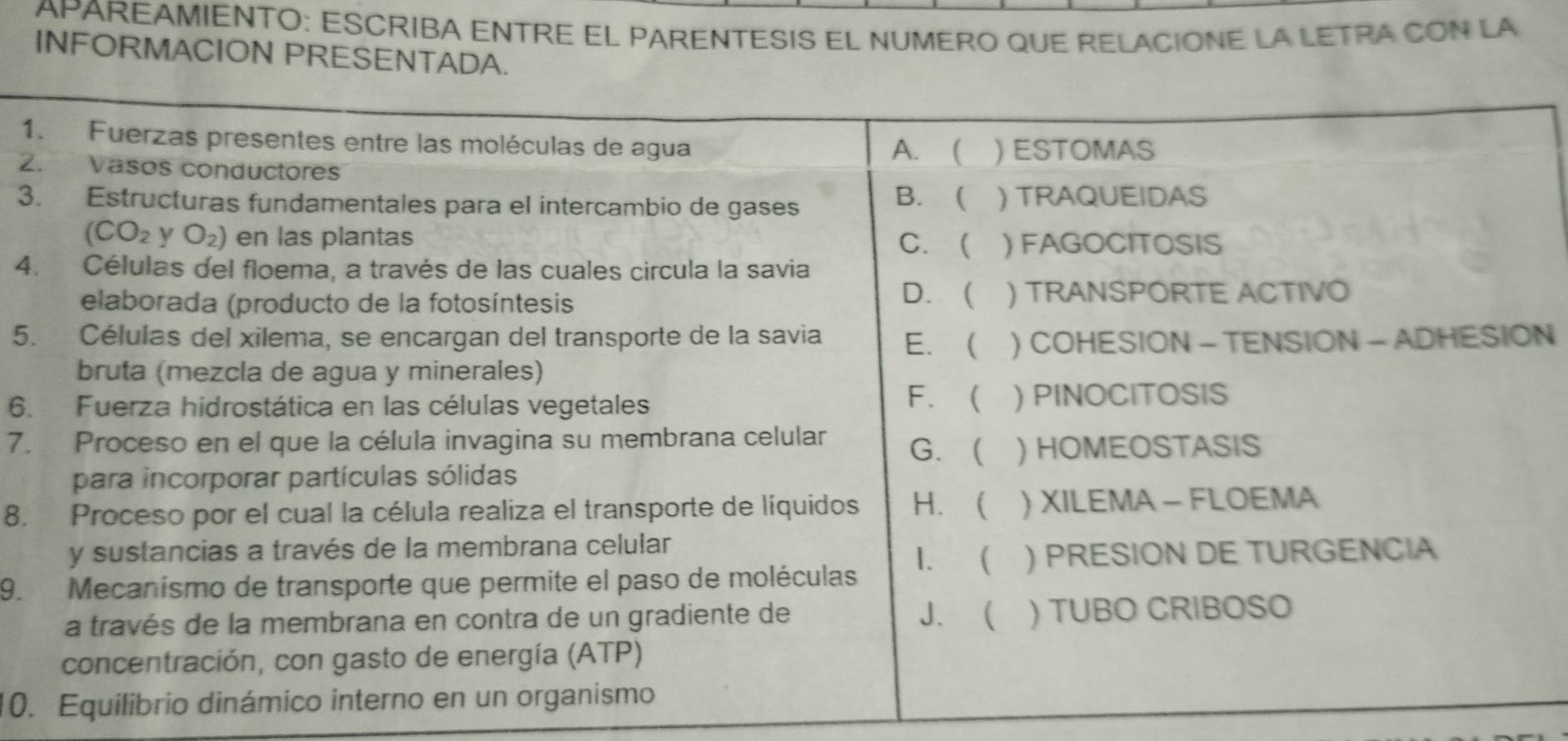 APAREAMIENTO: ESCRIBA ENTRE EL PARENTESIS EL NUMERO QUE RELACIONE LA LETRA CON LA
INFORMACION PRESENTADA.
1
2
3
4
5N
6
7.
8.
9.
10. Equili