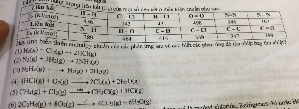 ngan
Câu 1.  * nang lư
thalpy chuẩn của các phản ứng sau và cho biết các phản ứn
(1) H_2(g)+Cl_2(g)to 2HCl(g)
(2) N_2(g)+3H_2(g)to 2NH_3(g)
(3) N_2H_4(g)to N_2(g)+2H_2(g)
(4) 4HCl(g)+O_2(g)xrightarrow t°2Cl_2(g)+2H_2O(g)
(5) CH_4(g)+Cl_2(g)to CH_3Cl(g)+HCl(g)
(6) 2C_2H_6(g)+8O_2(g)xrightarrow t°4CO_2(g)+6H_2O(g) goi l à m thyl chloride, Refrigerant-40 hoặc Họ