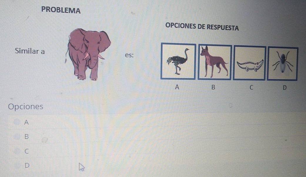 PROBLEMA
OPCIONES DE RESPUESTA
Similar a
es:
A B
C D
Opciones
A
B
C
D