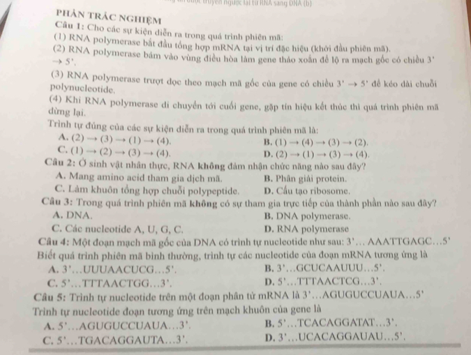 ộc truyền ngược lại từ RNA sang DNA (b)
phản trác nghiệm
Câu 1: Cho các sự kiện diễn ra trong quá trình phiên mã:
(1) RNA polymerase bắt đầu tổng hợp mRNA tại vị trí đặc hiệu (khởi đầu phiên mã).
(2) RNA polymerase bám vào vùng điều hòa làm gene thảo xoàn để lộ ra mạch gốc có chiều 3
→ 5'.
(3) RNA polymerase trượt đọc theo mạch mã gốc của gene có chiều 3'to 5' đề kéo dài chuỗi
polynucleotide.
(4) Khi RNA polymerase di chuyển tới cuối gene, gặp tín hiệu kết thúc thi quá trình phiên mã
dừng lại.
Trình tự đúng của các sự kiện diễn ra trong quá trình phiên mã là:
A. (2)to (3)to (1)to (4).
B. (1)to (4)to (3)to (2).
C. (1)to (2)to (3)to (4).
D. (2)to (1)to (3)to (4).
Câu 2: Ở sinh vật nhân thực, RNA không đảm nhận chức năng nào sau đây?
A. Mang amino acid tham gia djch mã. B. Phân giải protein.
C. Làm khuôn tổng hợp chuỗi polypeptide. D. Cầu tạo ribosome.
Câu 3: Trong quá trình phiên mã không có sự tham gia trực tiếp của thành phần nào sau đây?
A. DNA. B. DNA polymerase.
C. Các nucleotide A, U, G, C. D. RNA polymerase
Câu 4: Một đoạn mạch mã gốc của DNA có trình tự nucleotide như sau: 3' … AAATTGAGC… 5
Biết quá trình phiên mã binh thường, trình tự các nucleotide của đoạn mRNA tương ứng là
A. 3' …UUUAACL CG...5'. B. 3' GCUCAAUI JU... 5'
C. 5' TTTAACTG G...3° D. 5' TTTAACTCG...3^,.
Câu 5: Trình tự nucleotide trên một đoạn phân tử mRNA là …AGUGUCCUA 3' UA...5'
Trình tự nucleotide đoạn tương ứng trên mạch khuôn của gene là
A. 5' …AGUGUCCUAUA… 3'. B. 5' TCACAGG ATAT·s 3°
C. 5' …TGACAGGAUTA…3'. D. 3' …UCACAGGAUAU… 5'.