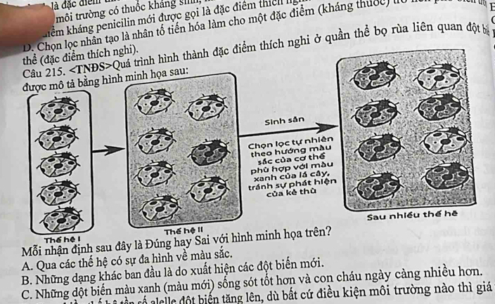 à đặc điệm 
trôi trường có thuốc khảng sIIIII,
khiểm kháng penicilin mới được gọi là đặc điểm thiel Iị
D. Chọn lọc nhân tạo là nhân tố tiến hóa làm cho một đặc điểm (kháng thuốc) lừ

Câu 215. Quá trình hình thành đặc điểm thích nghi ở quần thể bọ rùa liên quan đột bị
thể (đặc điểm thích nghi).
được mô tả bằng hình minh họa sau:
Sinh sản
Chọn lọc tự nhiên
theo hướng màu
phù hợp với màu sác của cơ thể
tránh sự phát hiện xanh của lá cây,
của kè thù
Thể hệ I Thể hệ II
Mỗi nhận định sau đây là Đúng hay Sai với hình minh họa trên?
A. Qua các thế hệ có sự đa hình về màu sắc.
B. Những dạng khác ban đầu là do xuất hiện các đột biến mới.
C. Những dột biến màu xạnh (màu mới) sống sót tốt hơn và con cháu ngày càng nhiều hơn.
cần cố alelle đột biến tăng lên, dù bất cứ điều kiện môi trường nào thì giá