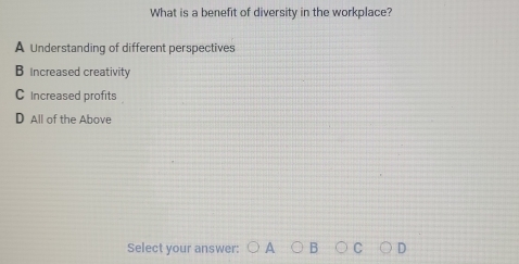 What is a benefit of diversity in the workplace?
A Understanding of different perspectives
B Increased creativity
C Increased profits
D All of the Above
Select your answer: