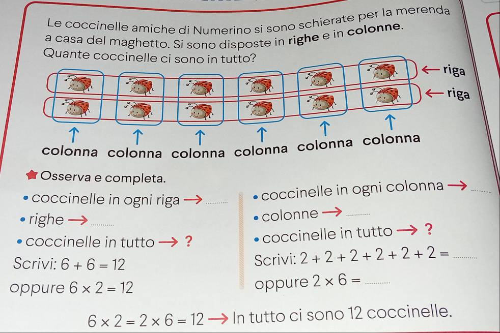 Le coccinelle amiche di Numerino si sono schierate per la merenda 
a casa del maghetto. Si sono disposte in righe e in colonne. 
Quante coccinelle ci sono in tutto? 
colonna colonna colonna colonna colonna colonna 
_ 
Osserva e completa. 
coccinelle in ogni riga 
_ 
coccinelle in ogni colonna 
righe 
_ 
colonne_ 
coccinelle in tutto - ? 
coccinelle in tutto . ? 
Scrivi: 6+6=12
Scrivi: 2+2+2+2+2+2= _ 
oppure 6* 2=12
oppure 2* 6= _
6* 2=2* 6=12 In tutto ci sono 12 coccinelle.