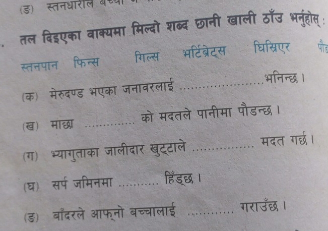 (ड) स्तनधारल बणय 
. तल दिइएका वाक्यमा मिल्दो शब्द छानी खाली ठॉउ भनुंहोस्ः 
स्तनपान फिन्स गिल्स भर्टिब्रेट्स घिस्रिएर 
(क) मेरुदण्ड भएका जनावरलाई_ 
_भनिन्छ। 
(ख) माछ _को मदतले पानीमा पौडन्छ। 
(ग) भ्यागुताका जालीदार खुट्टाले_ 
मदत गर्छ। 
(घ) सर्प जमिनमा _. हिंडछ । 
(ड) बाँदरले आफ्नो बच्चालाई_ 
गराउँछ