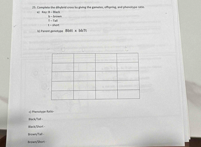 Complete the dihybrid cross by giving the gametes, offspring, and phenotype ratio. 
a) Key: B - Black 
b - brown 
T - Tall 
t - short 
b) Parent genotype Bbtt x bbTt 
c) Phenotype Ratio- 
Black/Tall - 
Black/Short - 
Brown/Tall - 
Brown/Short -