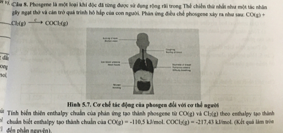 Phosgene là một loại khí độc đã từng được sử dụng rộng rãi trong Thế chiến thứ nhất như một tác nhân 
gây ngạt thờ và cản trở quá trình hô hấp của con người. Phản ứng điều chế phosgene xảy ra như sau: CO(g) +
Cl_2(g)xrightarrow CCOCl_2(g)
:đá 
ong 
nol 
Hình 5.7. Cơ chế tác động của phosgen đối với cơ thể người 
# Tính biến thiên enthalpy chuẩn của phản ứng tạo thành phosgene từ CO(g) và Cl_2(g) theo enthalpy tạo thành 
D chuẩn biết enthalpy tạo thành chuẩn của CO(g)=-110,5kJ/mol. COCl_2(g)=-217,43kJ/mol. (Kết quả làm tròn 
đến phần nguyên).