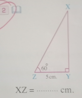 2
XZ= _ ·s cm.